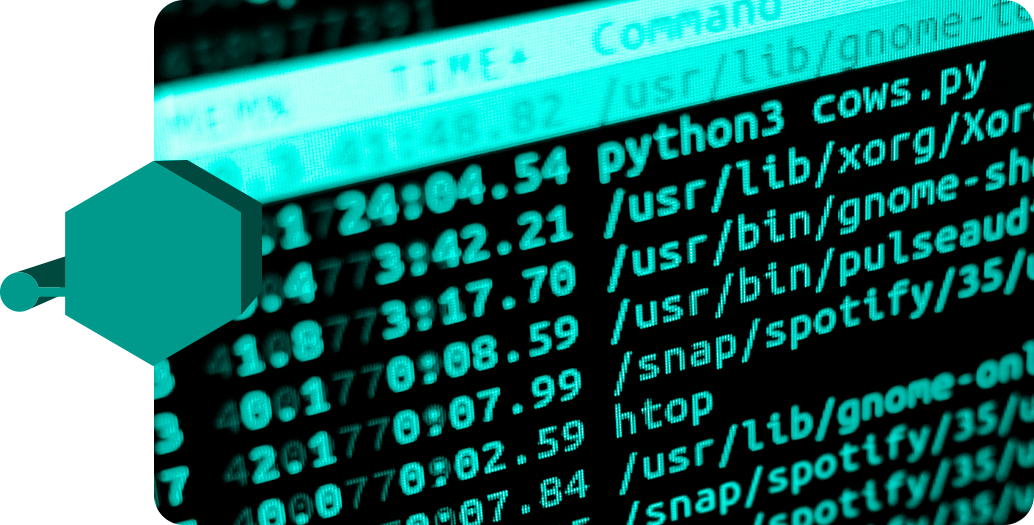 Introducción a las Redes en Linux